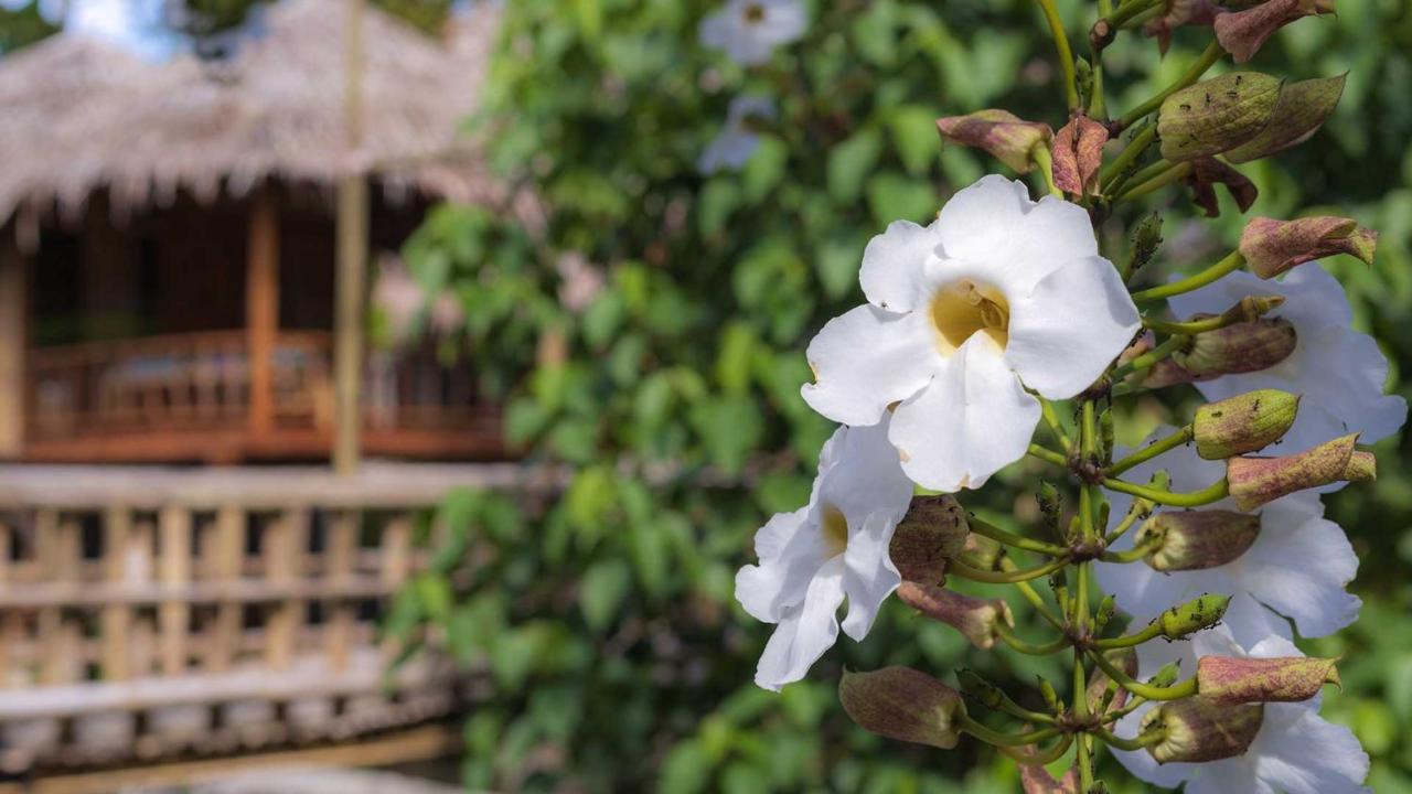 Onong'S Homestay & Cafe Tomohon Ngoại thất bức ảnh